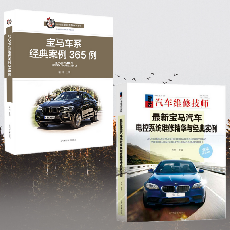 【寶馬汽車電控系統維修精華與經典實例】+【寶馬車係經典案例365例】
