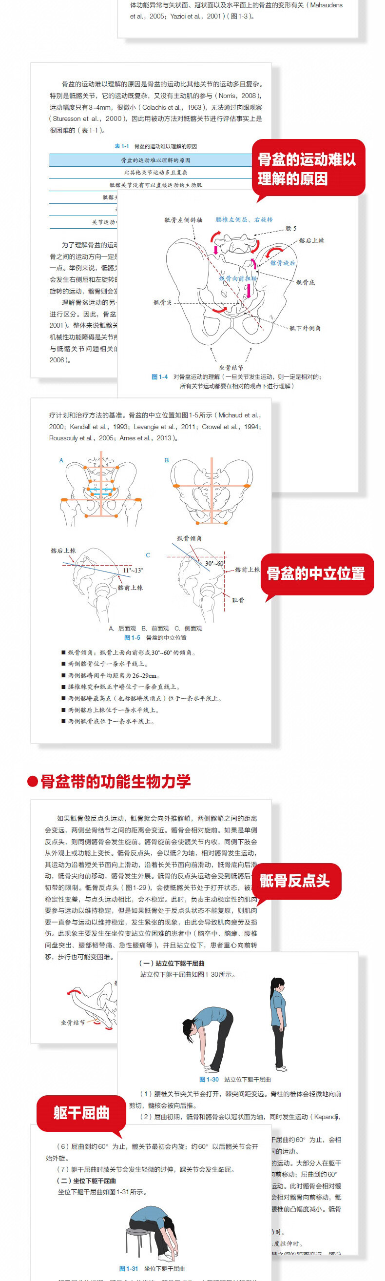 1695634130637549.jpg 详情-03.jpg