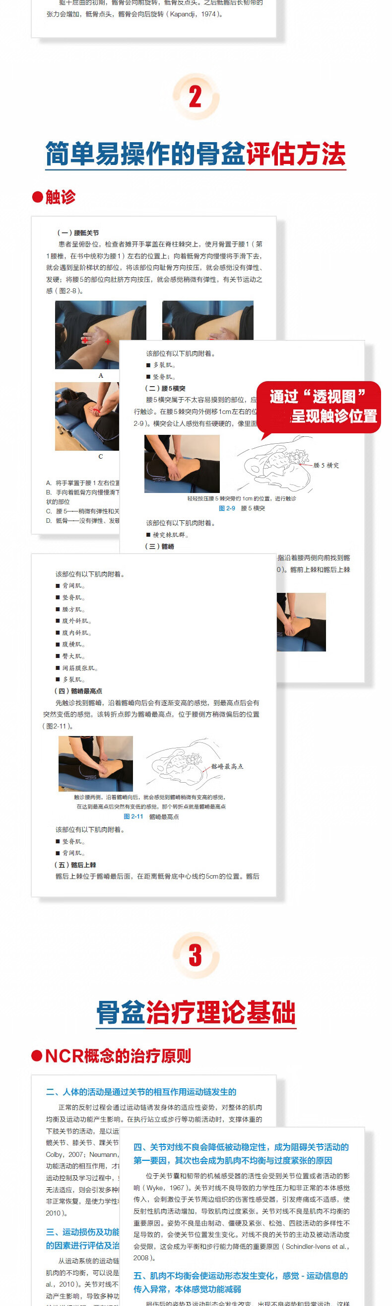 1695634136449232.jpg 详情-04.jpg