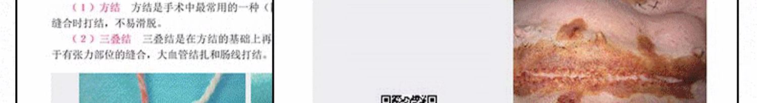 1695886769239281.jpg 1695886769239281.jpg