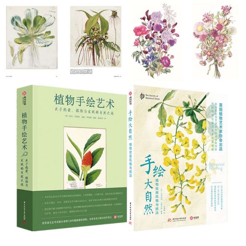【手繪大自然:植物繪畫風格與技法】+【植物手繪藝術 關於熱愛、探險與發現的自然之旅】 【手繪大自然:植物繪畫風格與技法】+【植物手繪藝術 關於熱愛、探險與發現的自然之旅】