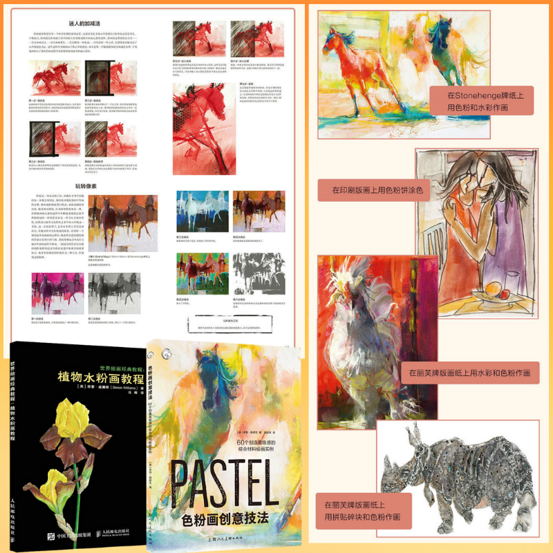 色粉畫創意技法:【創造高級感的綜合資料繪畫】+【植物水粉畫教程】