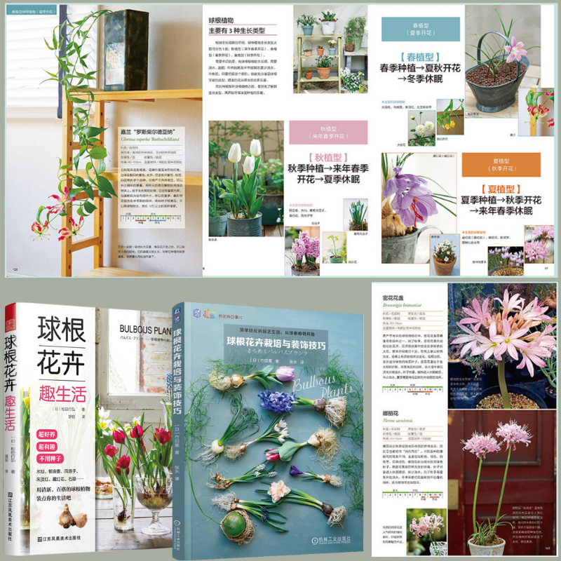 【球根花卉栽培與裝潢技巧】+【球根花卉趣生活】(日本人氣庭院設計師教你讓手中的球根美起來) 【球根花卉栽培與裝潢技巧】+【球根花卉趣生活】(日本人氣庭院設計師教你讓手中的球根美起來)