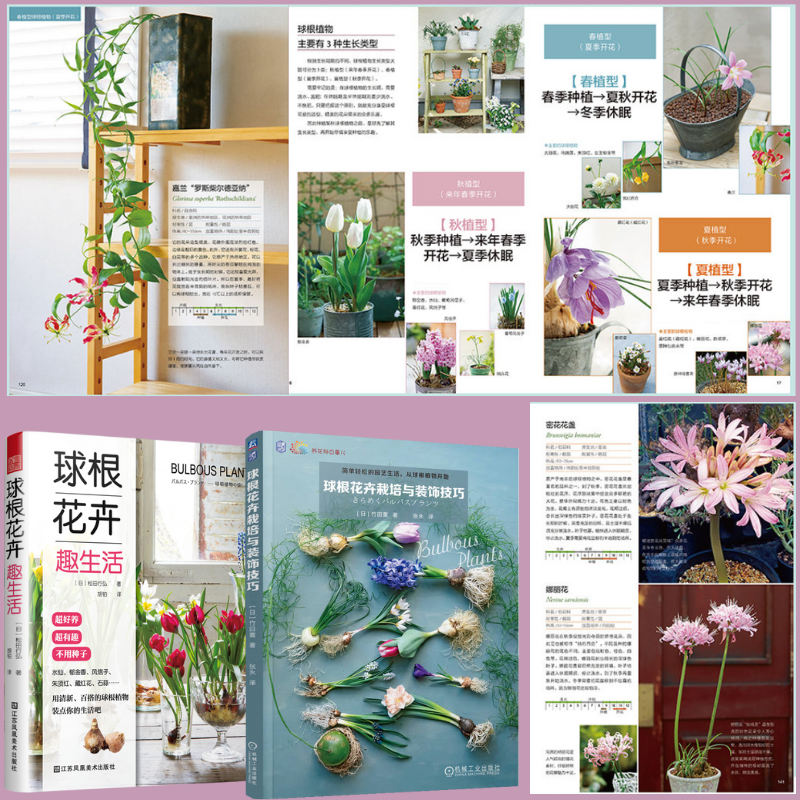 【球根花卉栽培與裝潢技巧】+【球根花卉趣生活】（日本人氣庭院設計師教你讓手中的球根美起來）