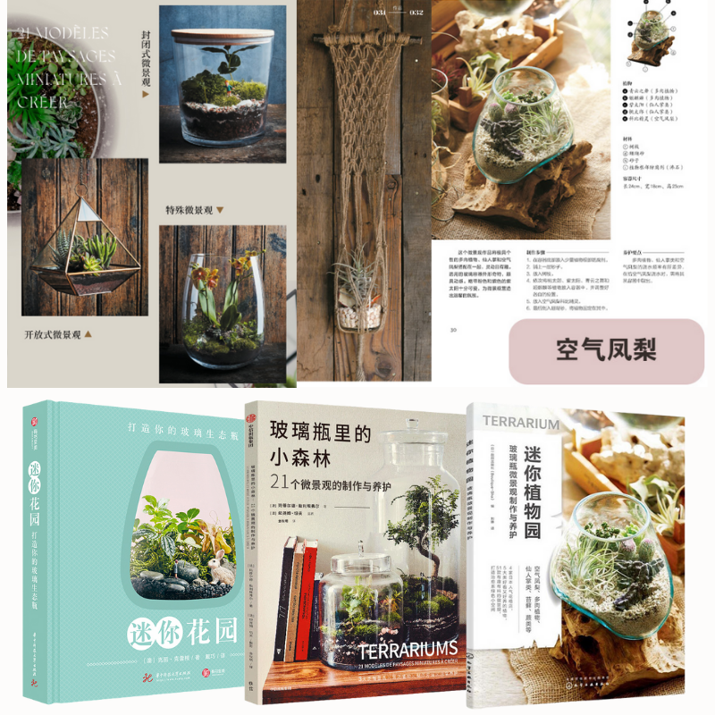 玻璃瓶裏的小森林：【微景觀的製作與養護】+迷你植物園：【玻璃瓶微景觀製作與養護】+迷你花園：【打造你的玻璃生態瓶】