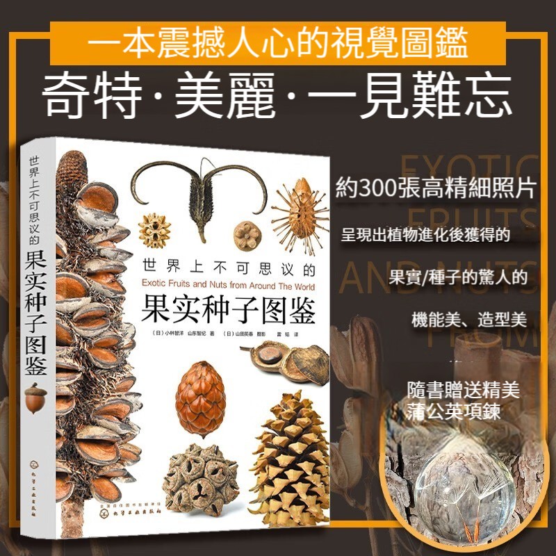 世界上不可思議的果實種子圖鑑 / 種子的信仰
