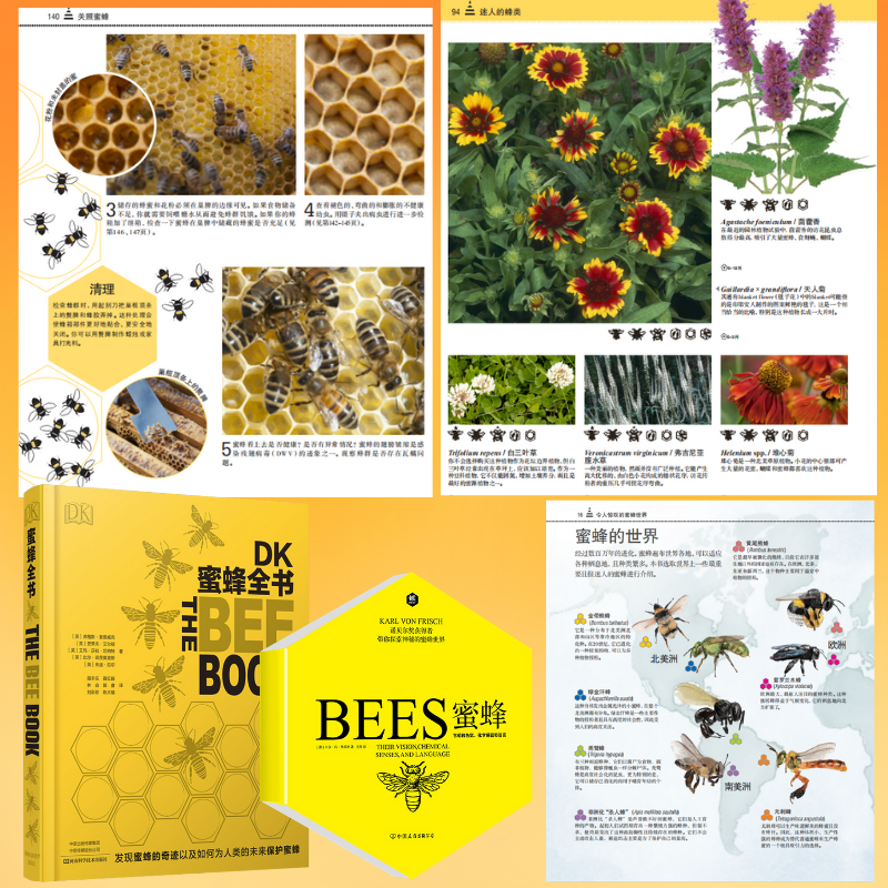 【蜜蜂全書】+【蜜蜂:諾貝爾獲獎者弗裏希科普代表作】+【養蜂科技全圖解】+【蜜蜂養殖實用技術】(年後發貨) 【蜜蜂全書】+【蜜蜂:諾貝爾獲獎者弗裏希科普代表作】+【養蜂科技全圖解】+【蜜蜂養殖實用技術】(年後發貨)