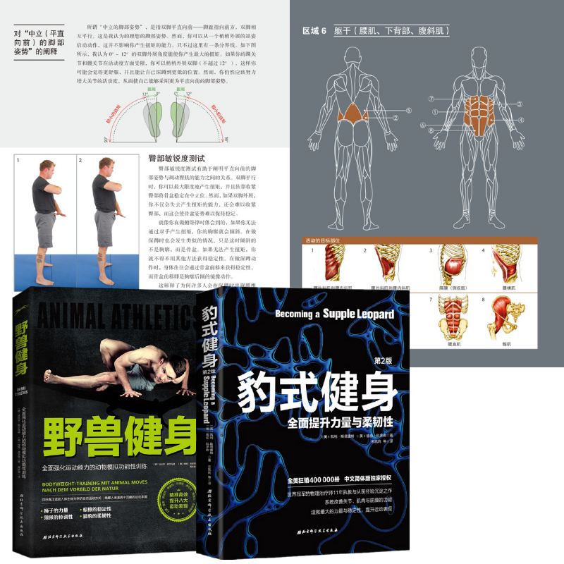 【豹式健身】+【野獸健身】 【豹式健身】+【野獸健身】