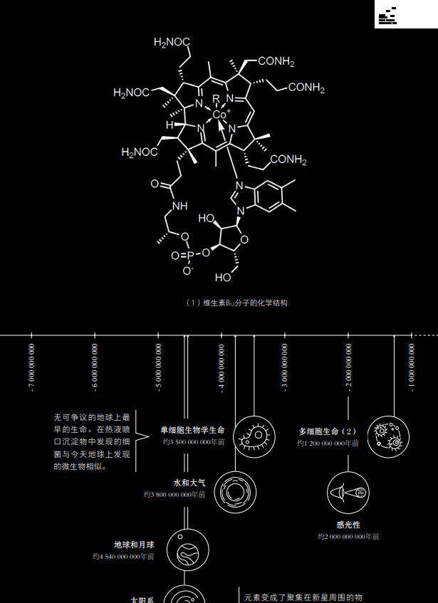 1696408428544693.jpg 详情-4.jpg
