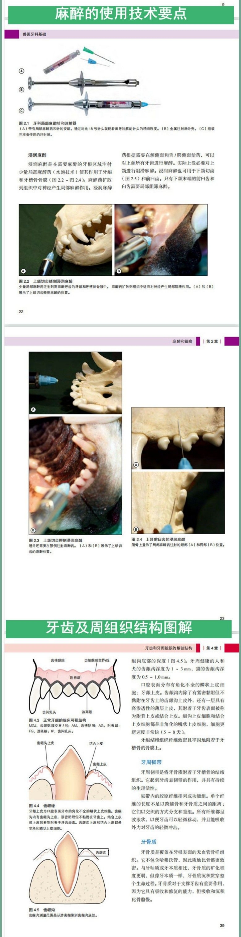 1697874812400994.jpg 1.jpg