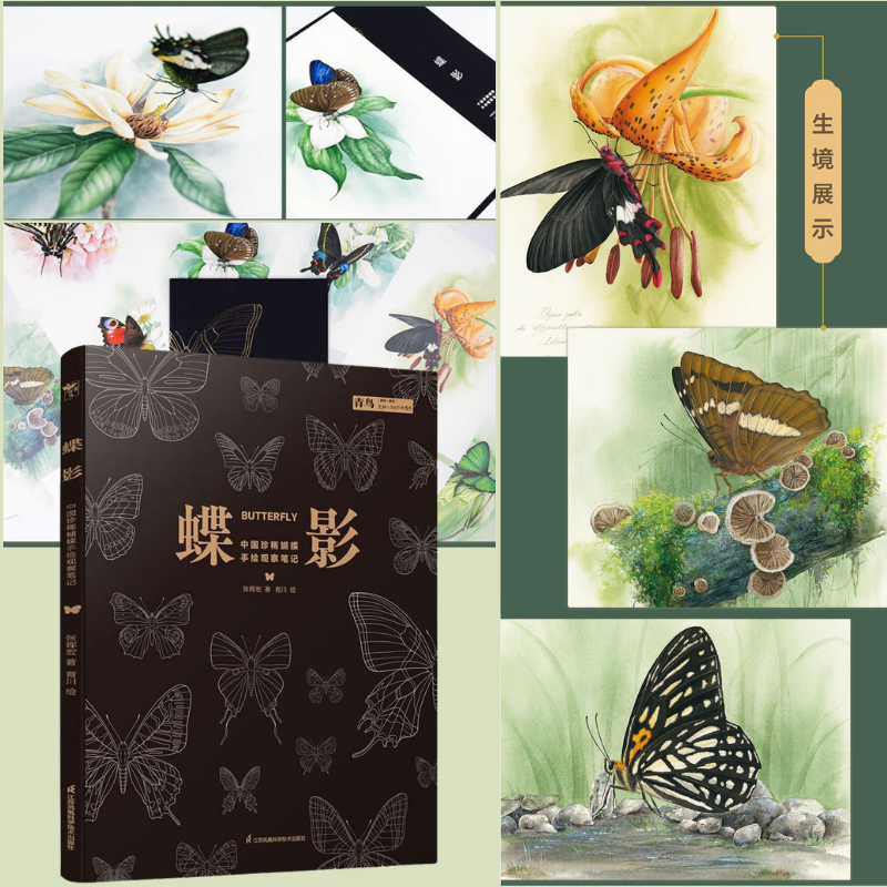 【蝶影:中國珍稀蝴蝶手繪觀察筆記】(超大本精裝) 【蝶影:中國珍稀蝴蝶手繪觀察筆記】(超大本精裝)