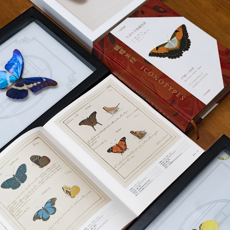 瓊斯圖譜:【蝴蝶聖經】(牛津大學典藏圖譜) 瓊斯圖譜:【蝴蝶聖經】(牛津大學典藏圖譜)