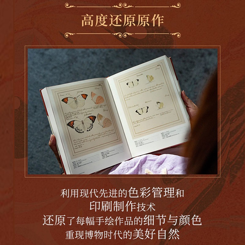 瓊斯圖譜:【蝴蝶聖經】(牛津大學典藏圖譜) 瓊斯圖譜:【蝴蝶聖經】(牛津大學典藏圖譜)