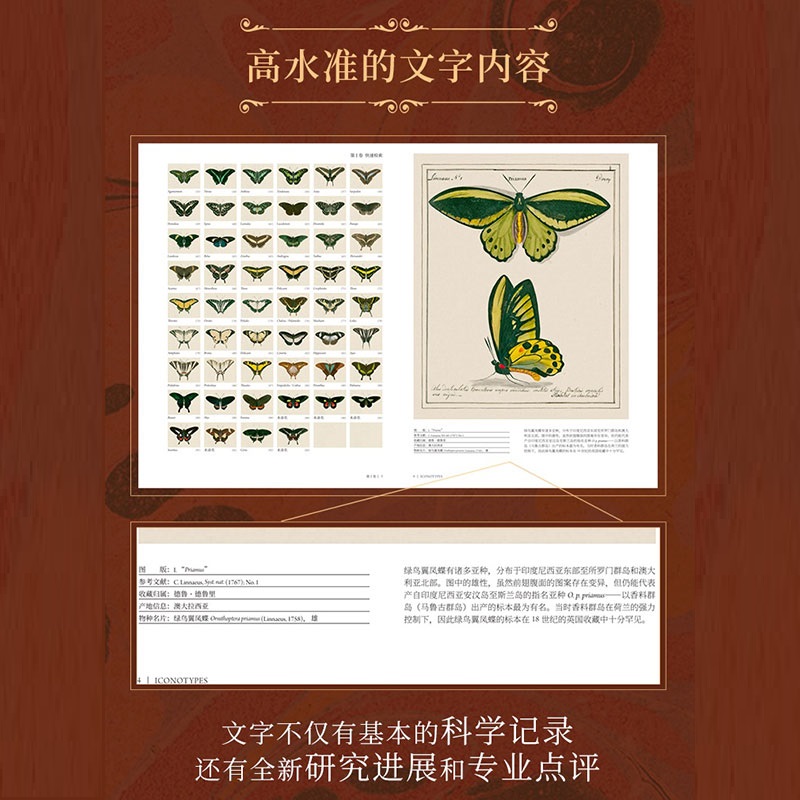 瓊斯圖譜:【蝴蝶聖經】(牛津大學典藏圖譜) 瓊斯圖譜:【蝴蝶聖經】(牛津大學典藏圖譜)