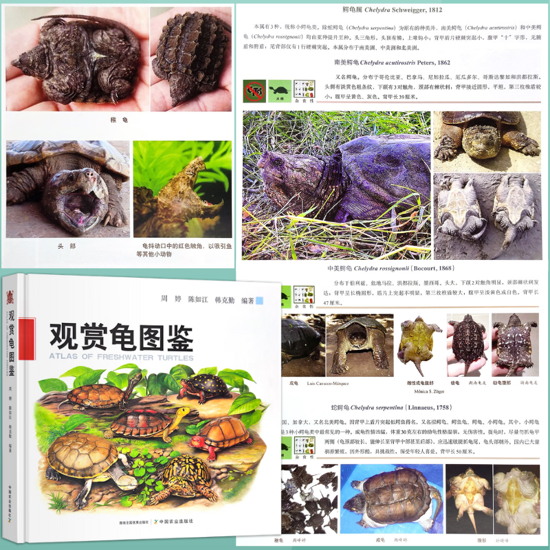 【觀賞龜圖鑒】(精裝質重1.9公斤) 【觀賞龜圖鑒】(精裝質重1.9公斤)