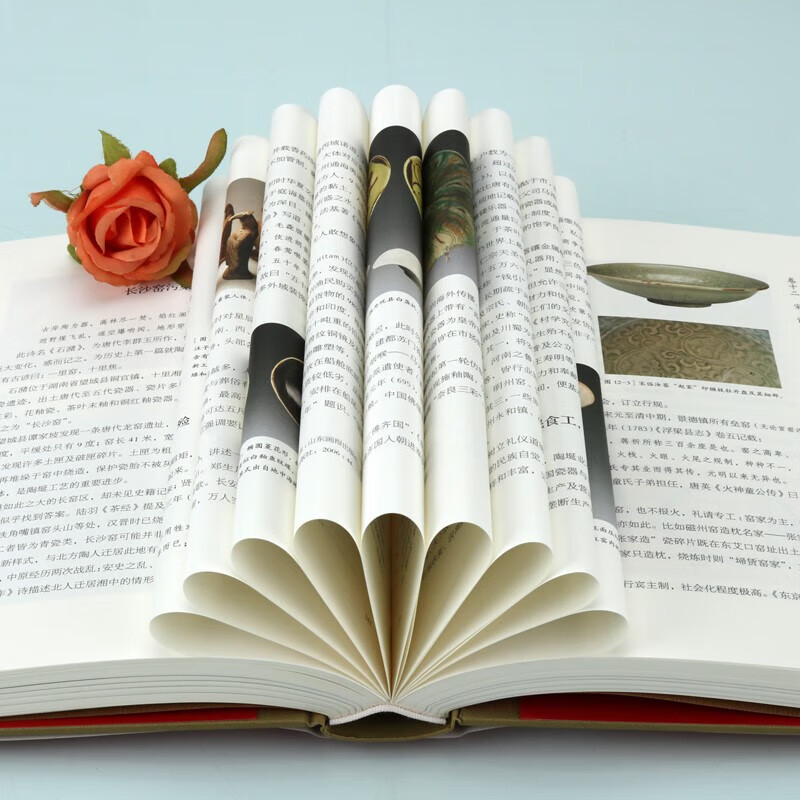 【中國陶瓷實錄】(國家文物局博物館教材系列) 【中國陶瓷實錄】(國家文物局博物館教材系列)