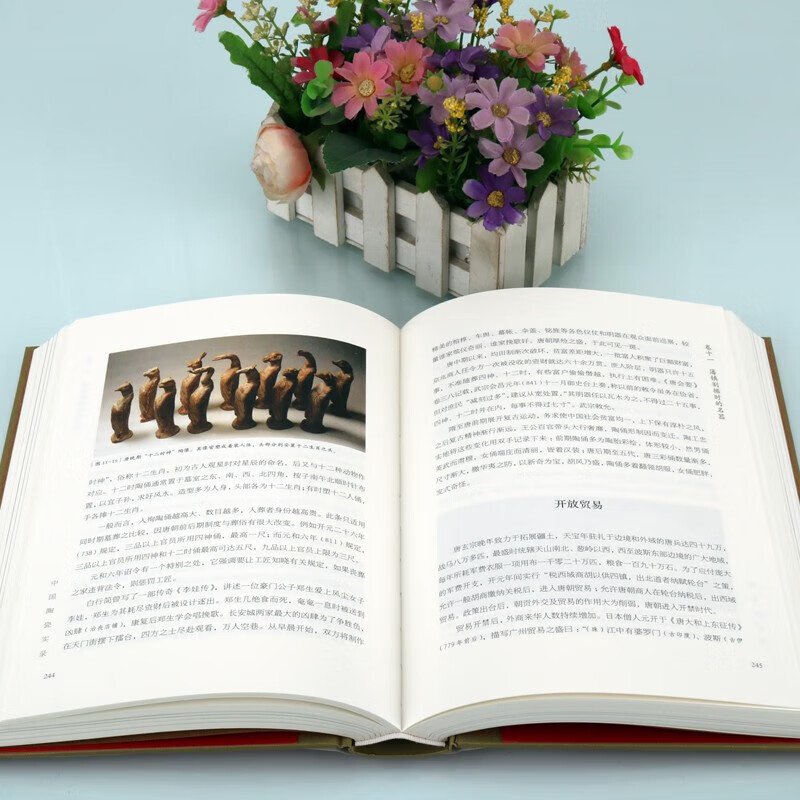 【中國陶瓷實錄】(國家文物局博物館教材系列) 【中國陶瓷實錄】(國家文物局博物館教材系列)