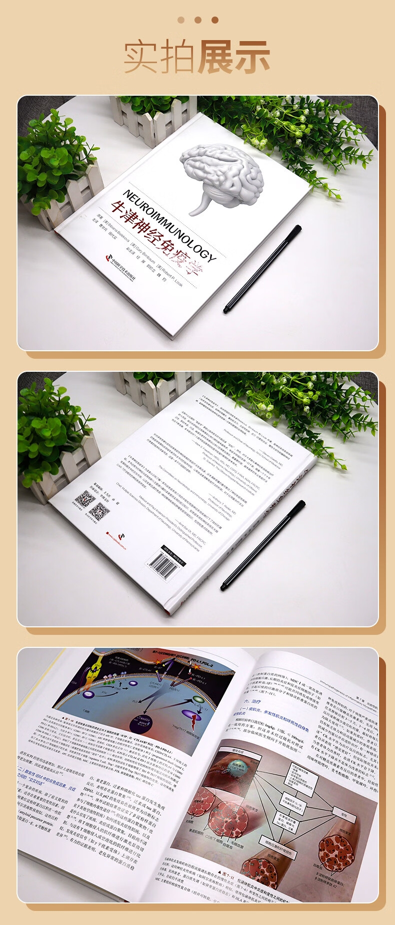 1701848461957825.jpg 详情-02.jpg