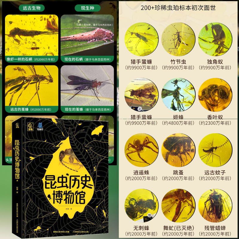 【昆蟲歷史博物館】(精裝) 【昆蟲歷史博物館】(精裝)