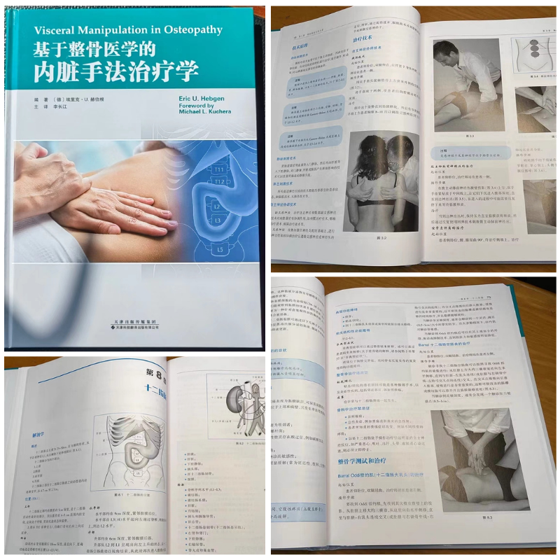 【基於整骨醫學的內臟手法治療學】+【內臟軀體功能評估與解剖學分析】