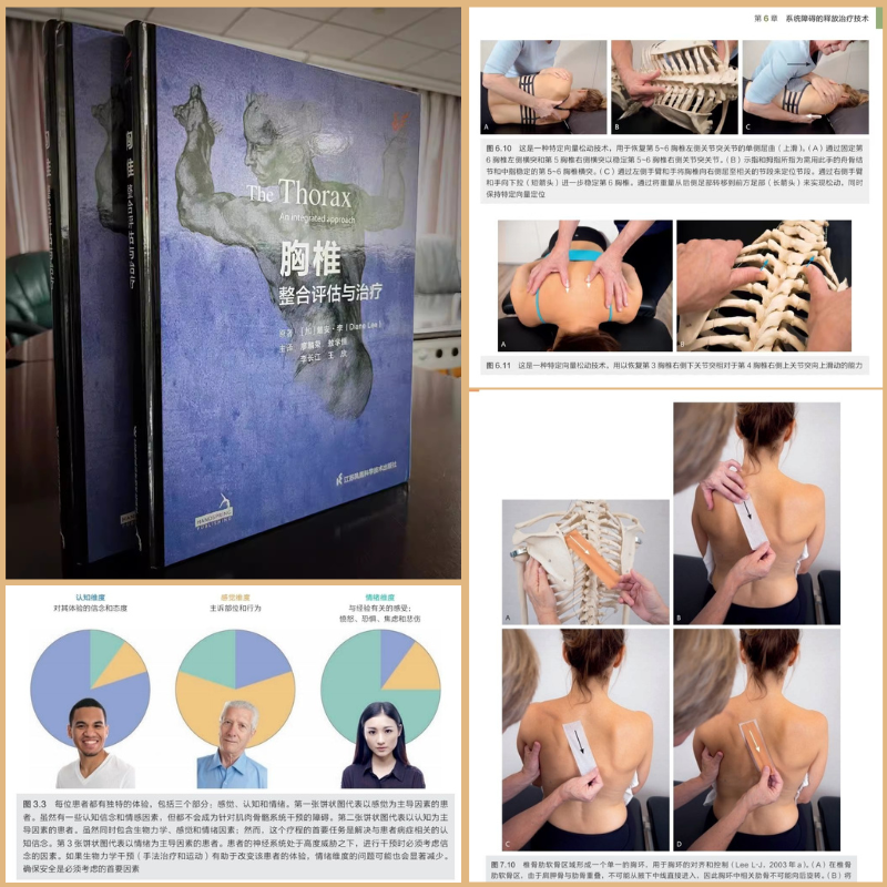 【胸椎綜合評估與治療】(精裝) 【胸椎綜合評估與治療】(精裝)