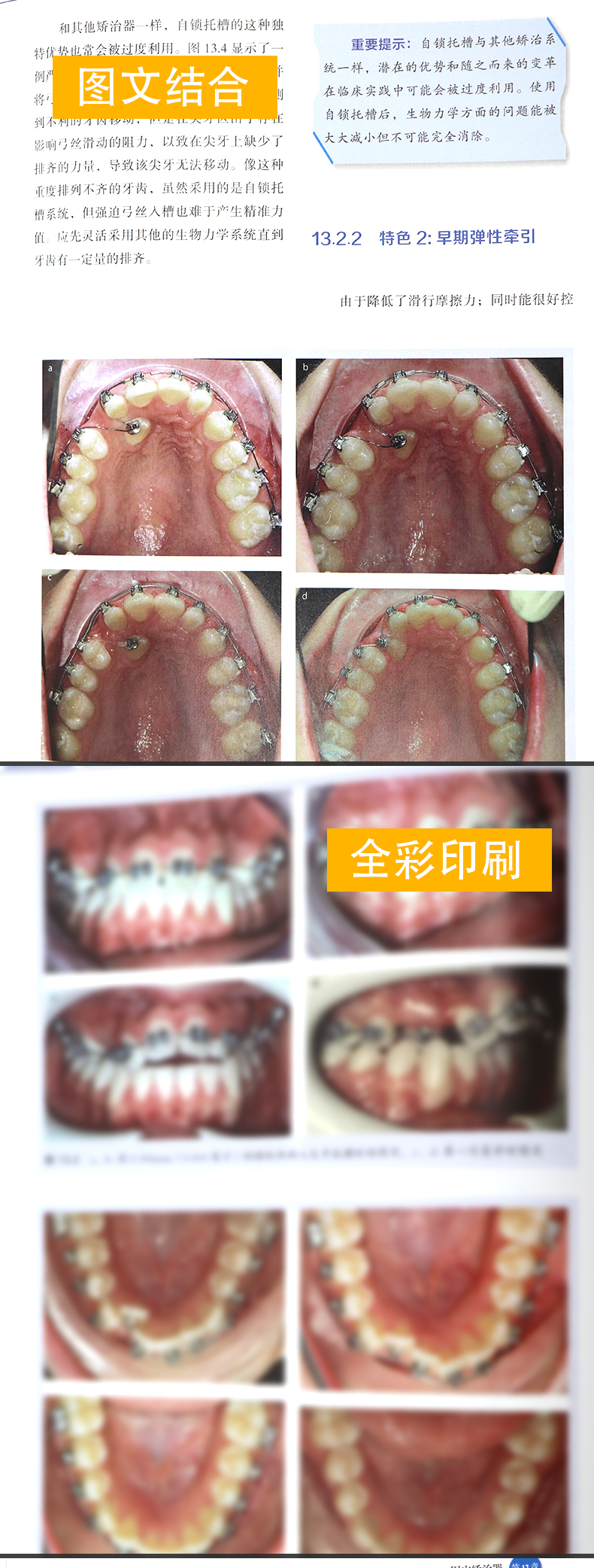 1704881034685116.jpg 7.jpg