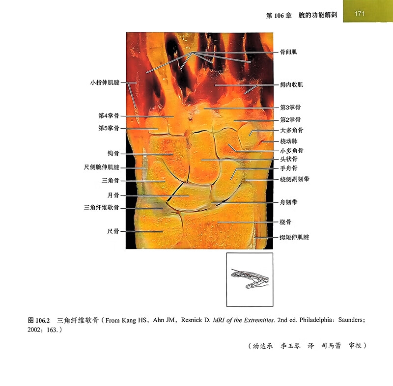 1707205059163584.jpg 详情-17.jpg