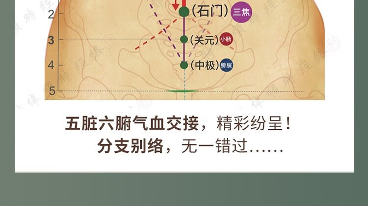 1708504263688949.jpg 详情-23.jpg