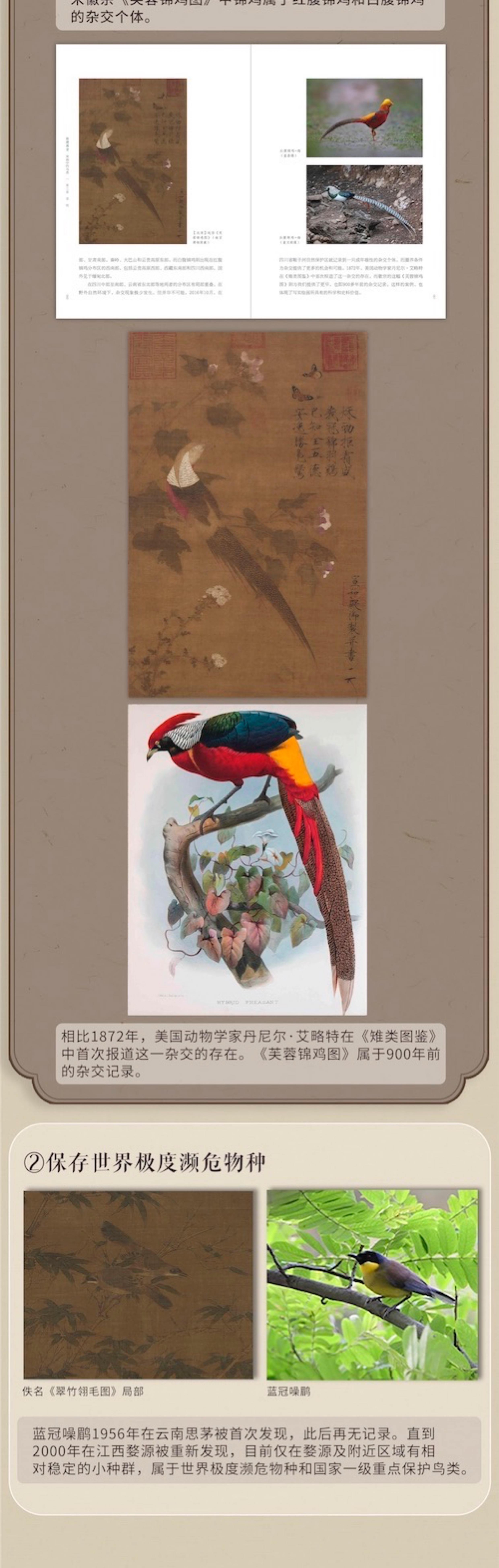 1709547680412126.jpg 详情-15.jpg