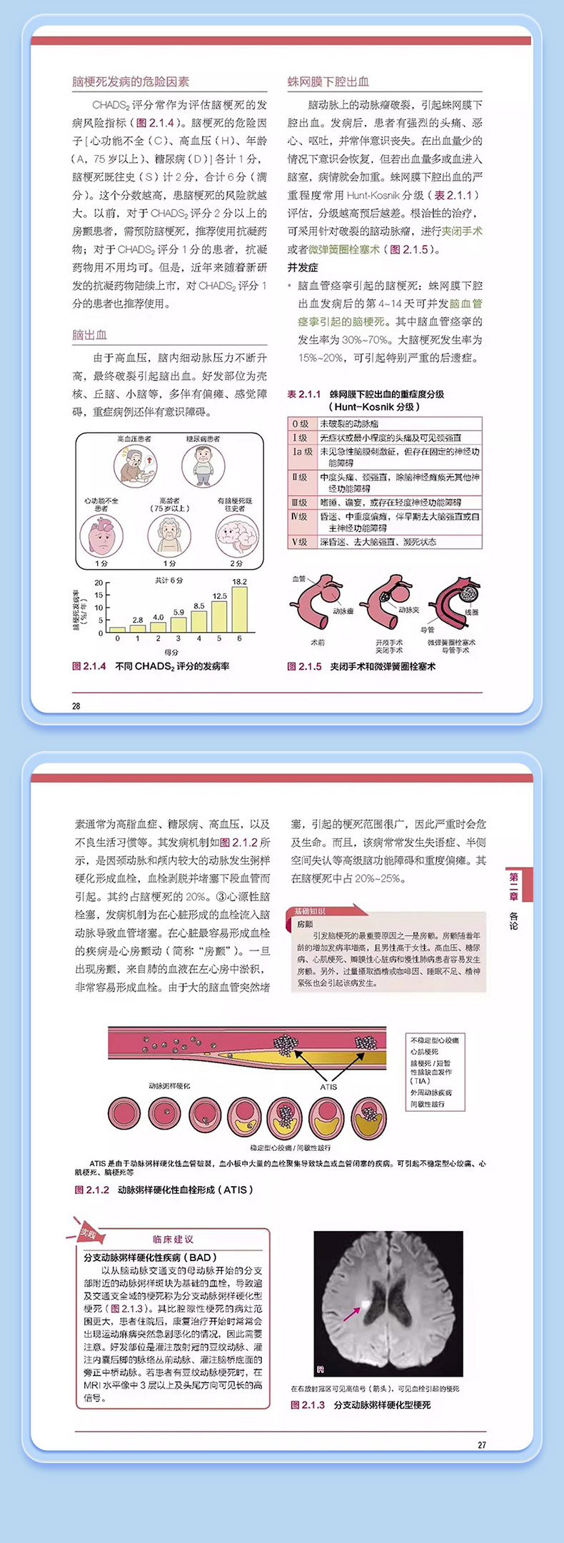 1709899675777995.jpg 5.jpg