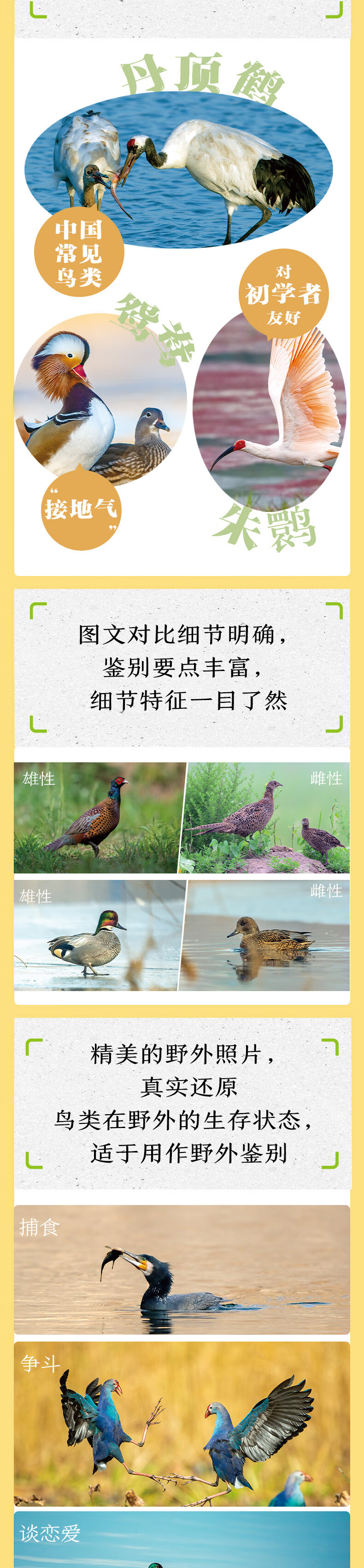 1711023245425280.jpg 详情-02.jpg