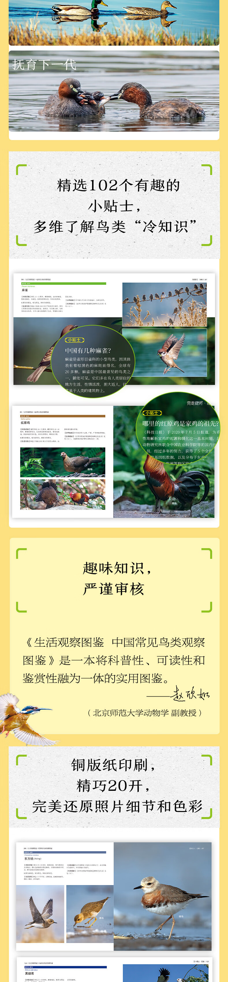 1711023248652069.jpg 详情-03.jpg