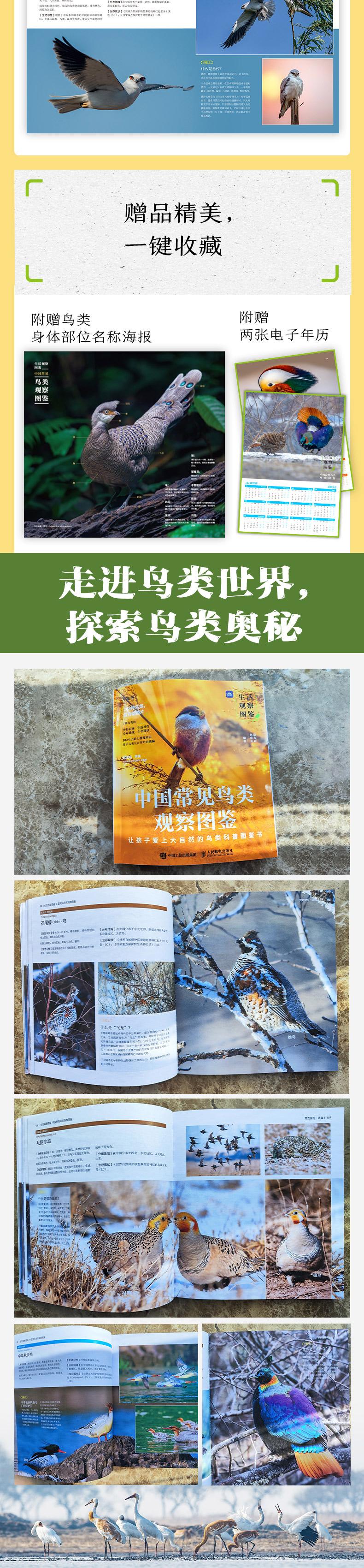 1711023250790961.jpg 详情-04.jpg