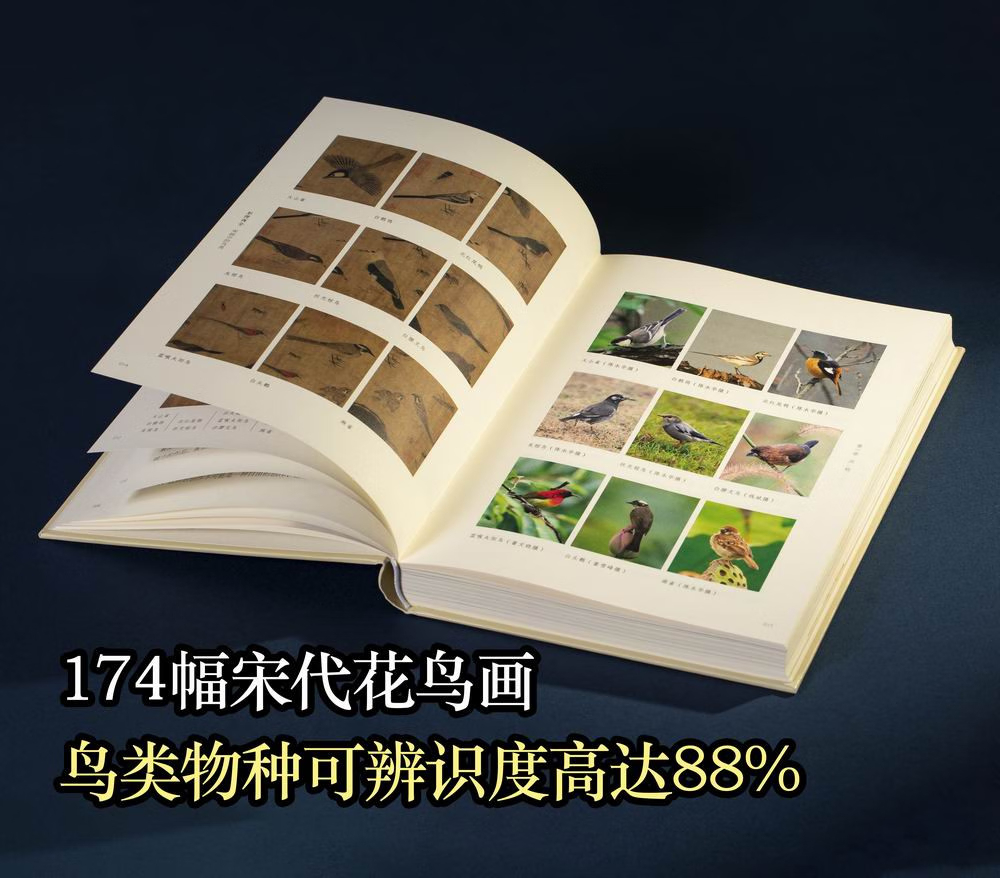 形理兩全:【宋畫中的鳥類】 形理兩全:【宋畫中的鳥類】