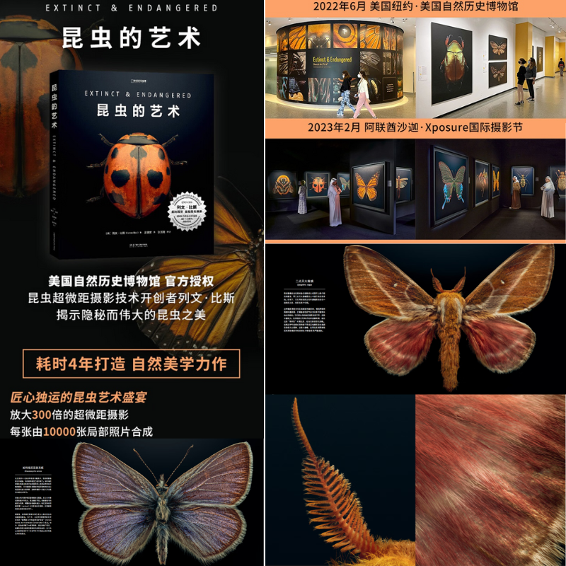 【昆蟲的藝術】（列文·比斯全新昆蟲畫冊）