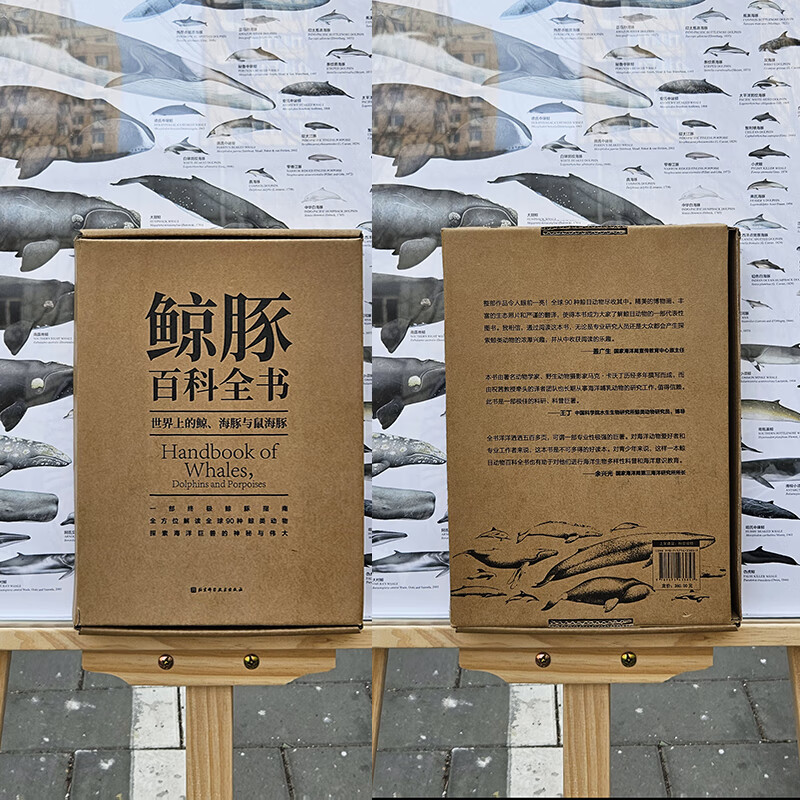 【鯨豚百科大全】(世界上的鯨、海豚與鼠海豚) 【鯨豚百科大全】(世界上的鯨、海豚與鼠海豚)