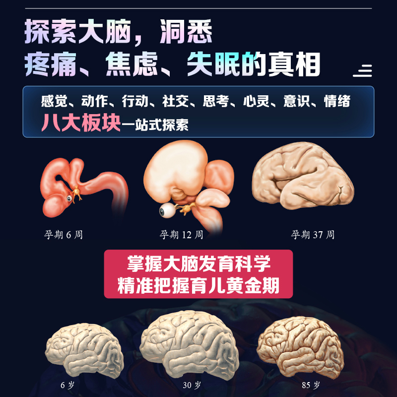 【大腦之書】(系統解讀大腦工作原理) 【大腦之書】(系統解讀大腦工作原理)