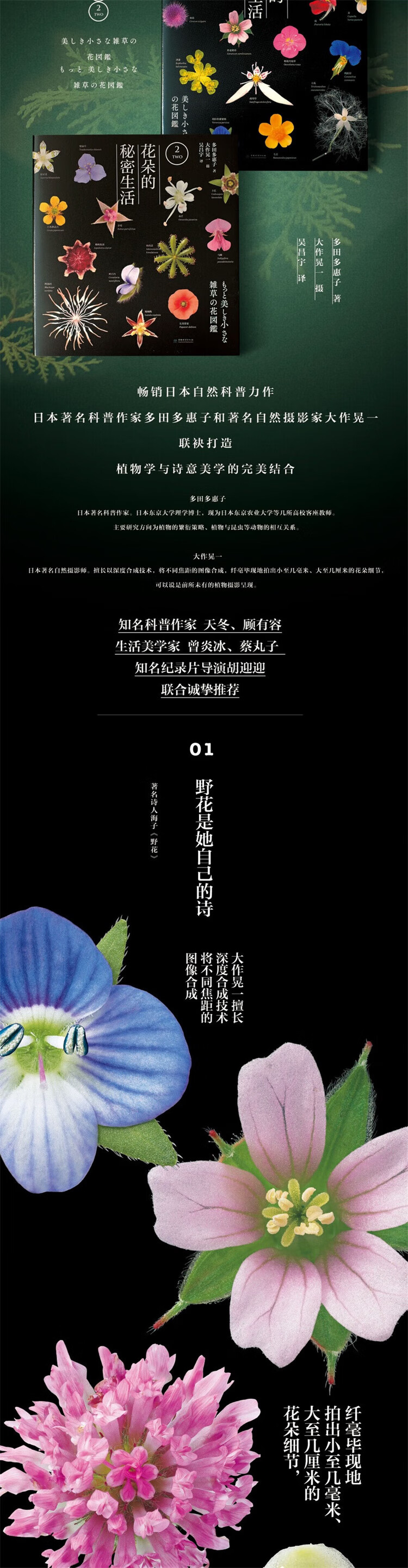 1714809512469393.jpg 详情_002.jpg