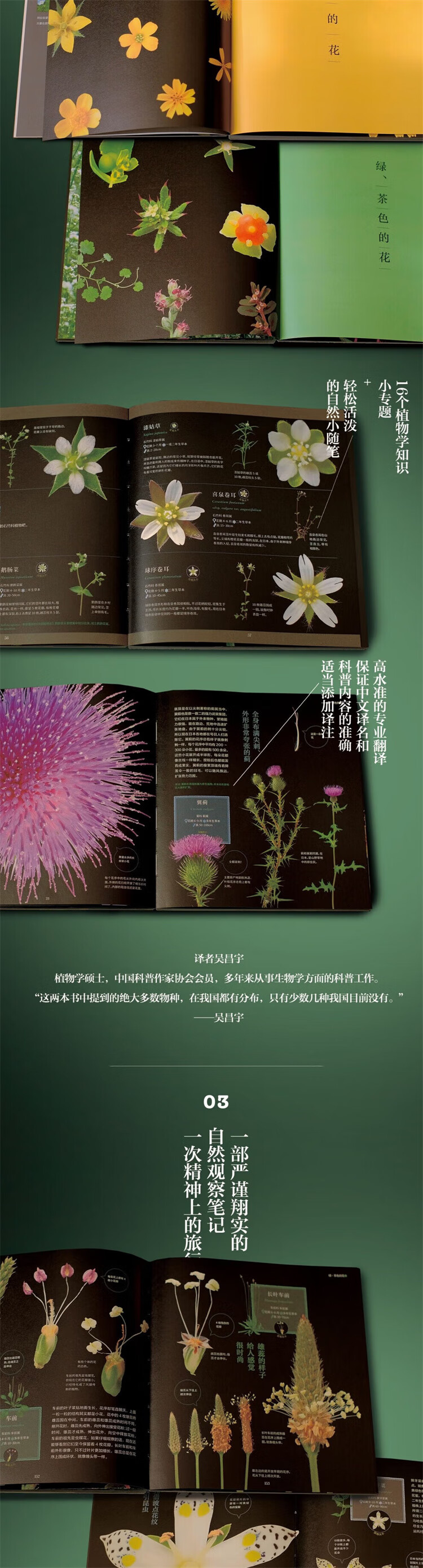 1714809517897982.jpg 详情_004.jpg