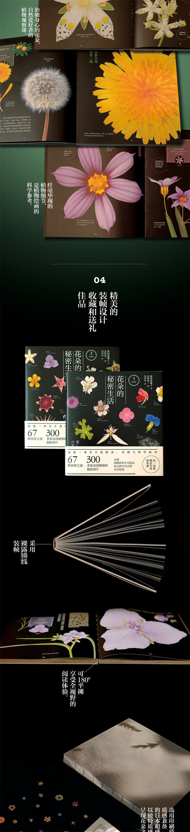 1714809519701403.jpg 详情_005.jpg