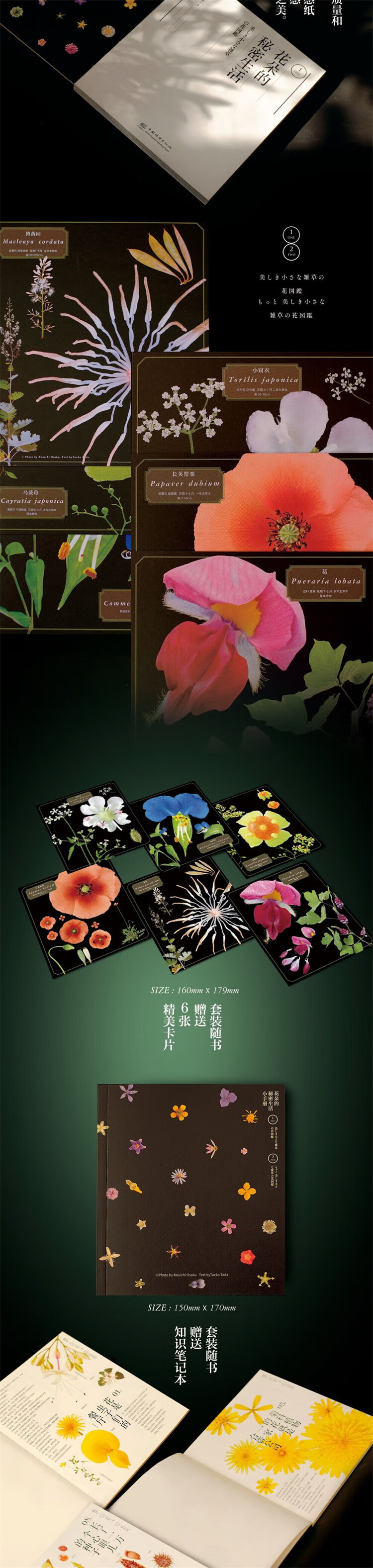 1714809521248587.jpg 详情_006.jpg