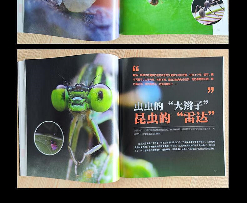 1715685998893234.png 详情_021.png