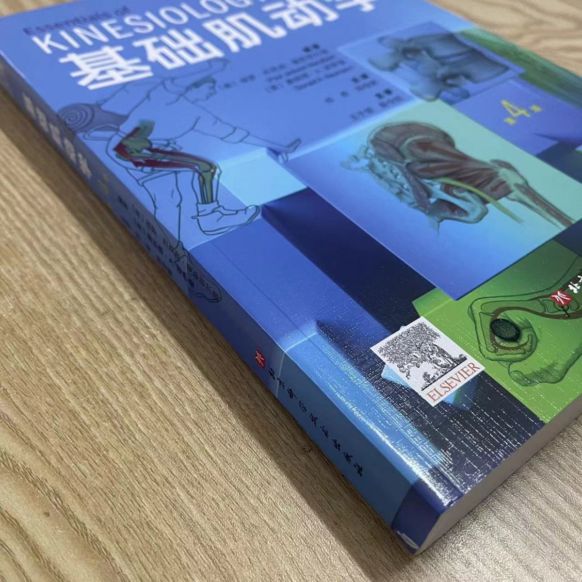 1716287161728449.jpeg 1716287161728449.jpeg