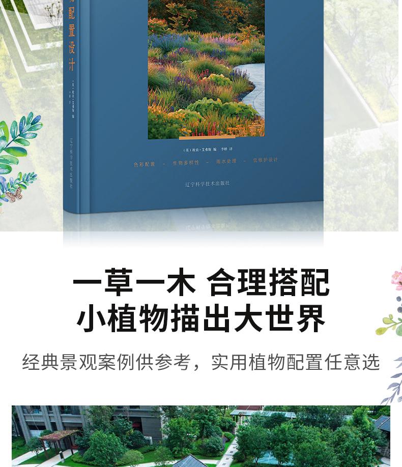 1718616173866352.jpeg 10002.jpeg