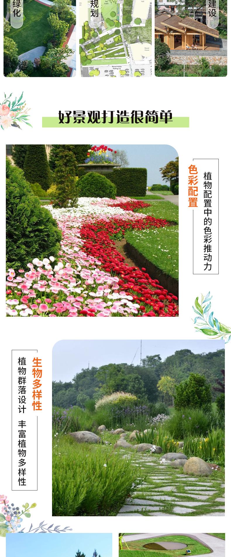 1718616177353823.jpeg 10004.jpeg