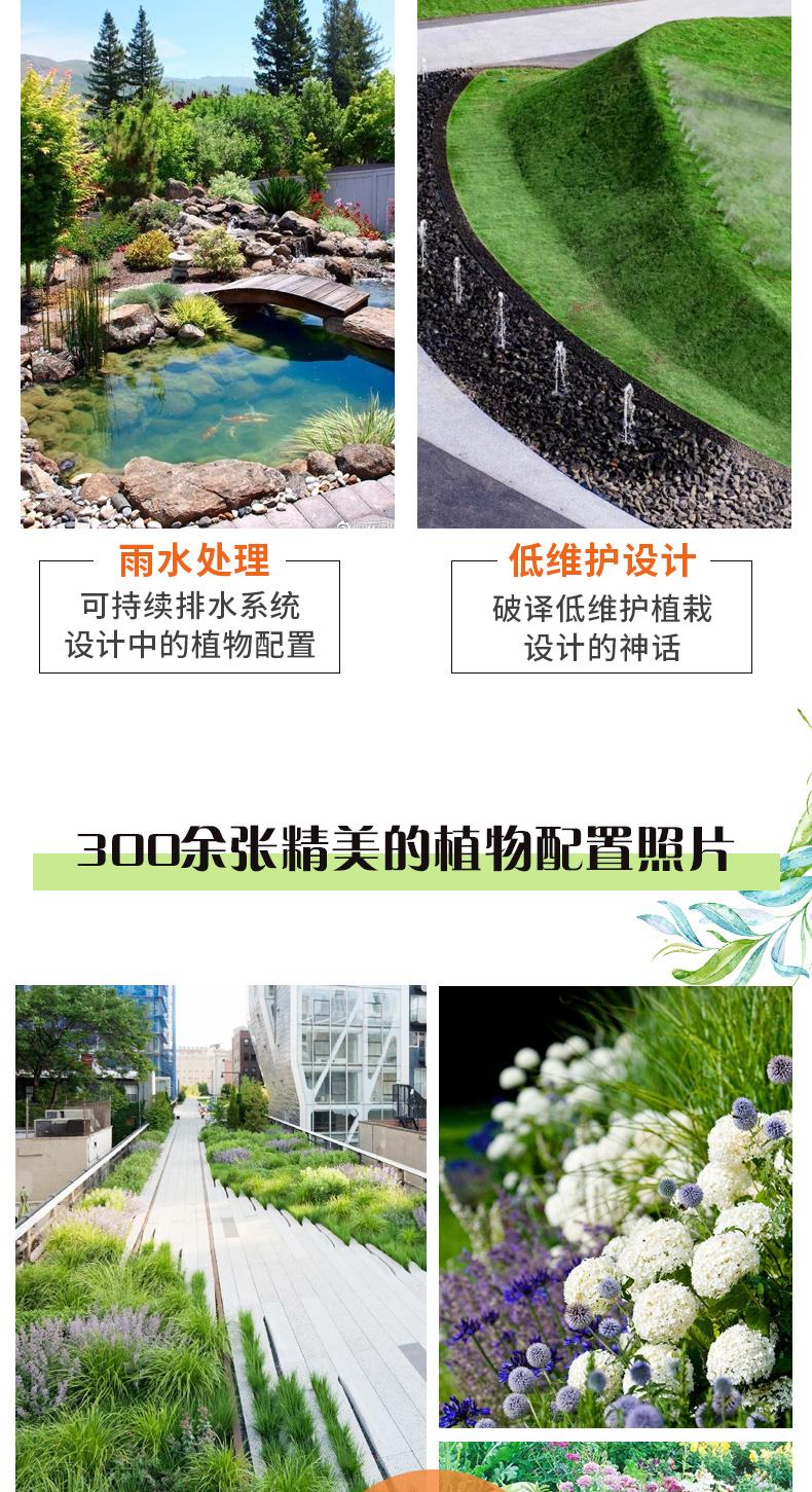 1718616179637722.jpeg 10005.jpeg