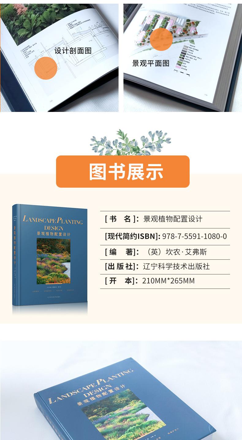 1718616187732367.jpeg 10007.jpeg