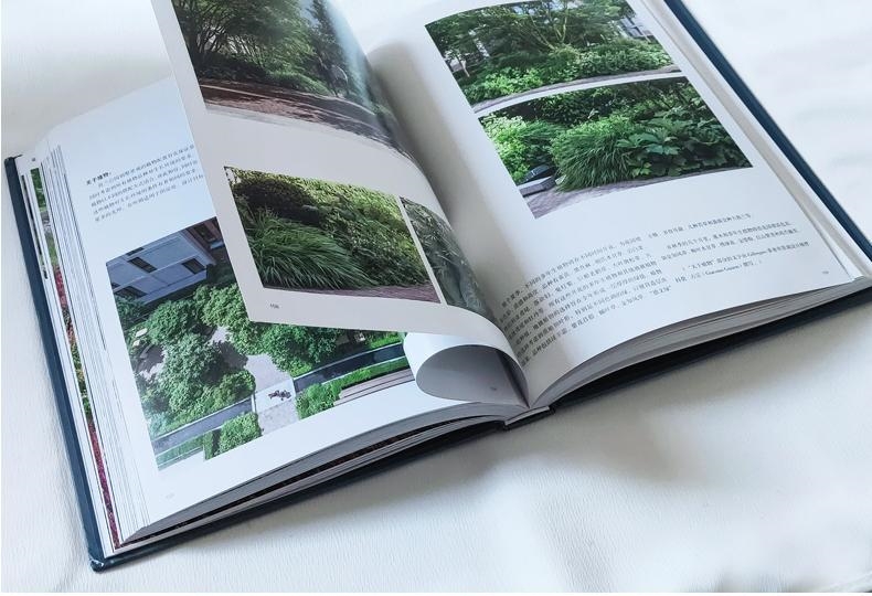 1718616231367400.jpg 10009.jpg