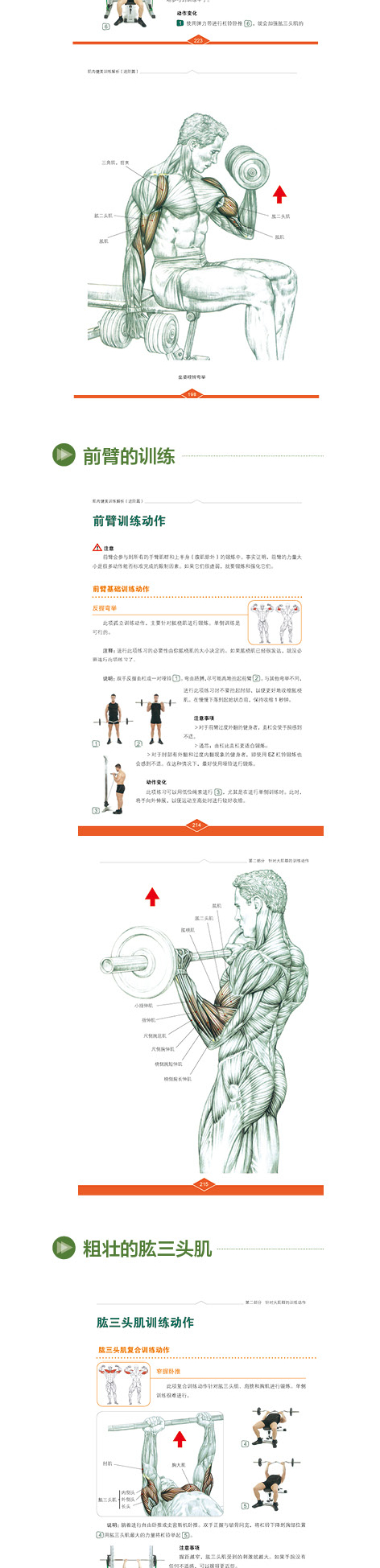 1719908316425261.jpg 1719908316425261.jpg