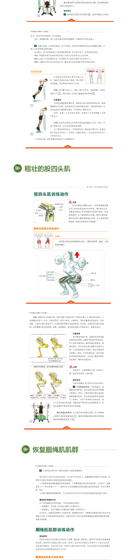 1719908318917834.jpg 1719908318917834.jpg